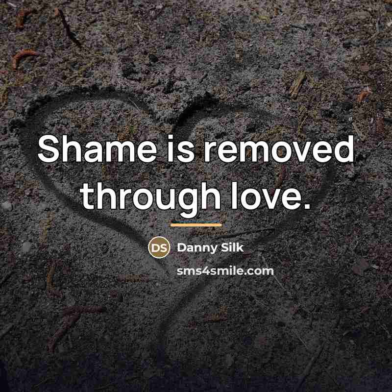 “Shame is removed through love.…” quote by Danny Silk