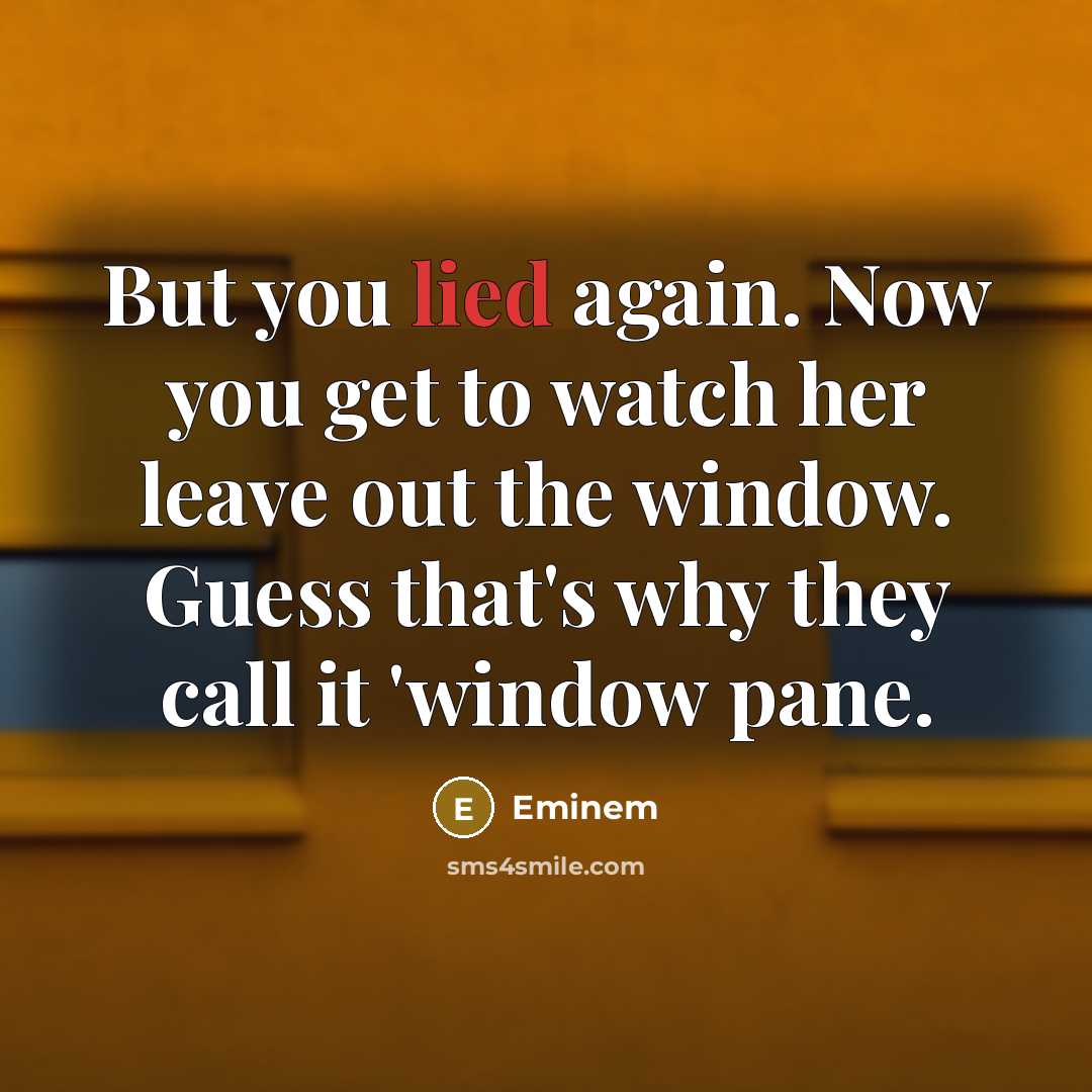 “But you lied again. Now you get to watch her…” quote by Eminem