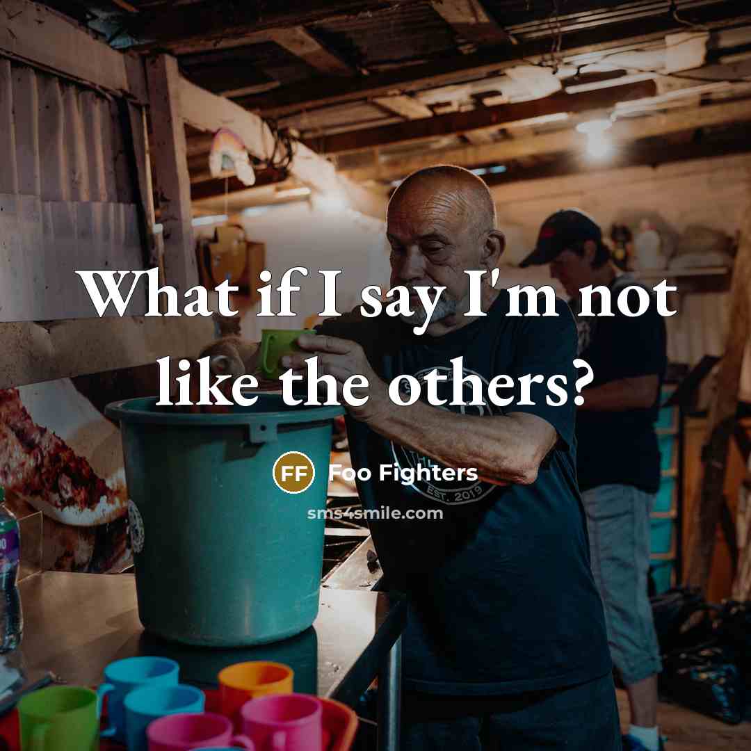 “What if I say I'm not like the others?…” quote by Foo Fighters