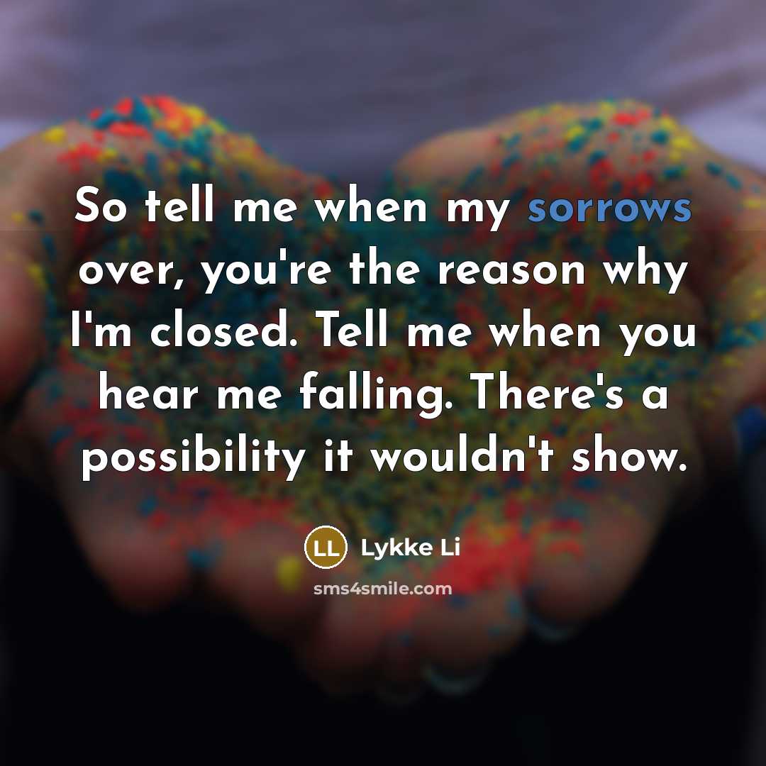 “So tell me when my sorrows over, you're the reason…” quote by Lykke Li
