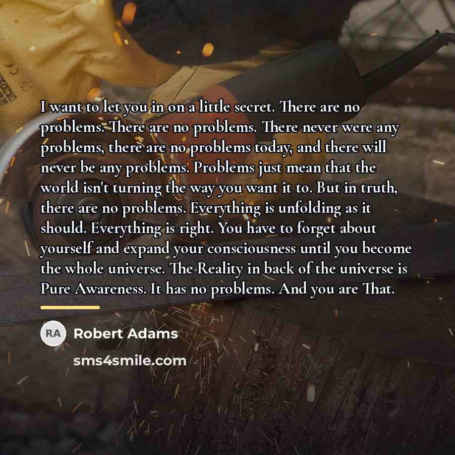 “I want to let you in on a little secret.…” quote by Robert Adams