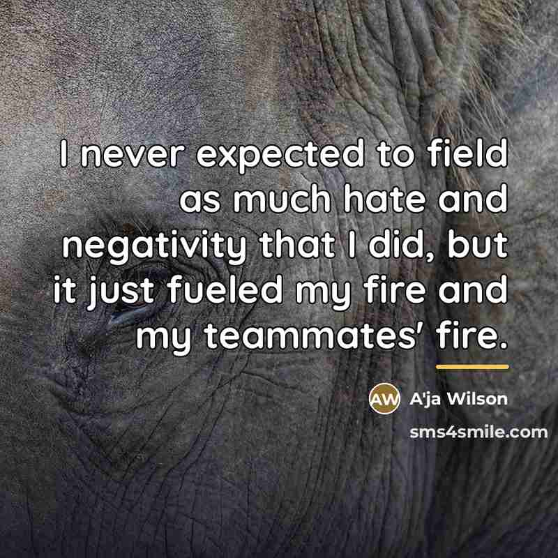 “I never expected to field as much hate and negativity…” quote by A'ja Wilson