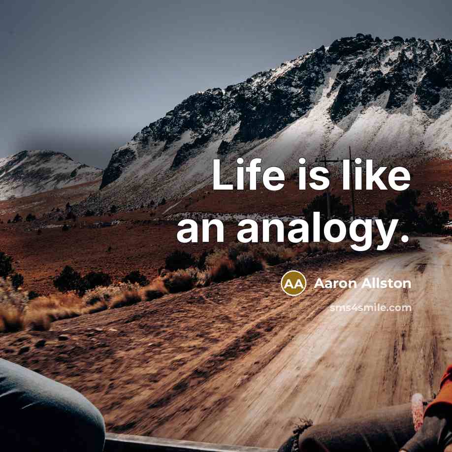 “Life is like an analogy.…” quote by Aaron Allston