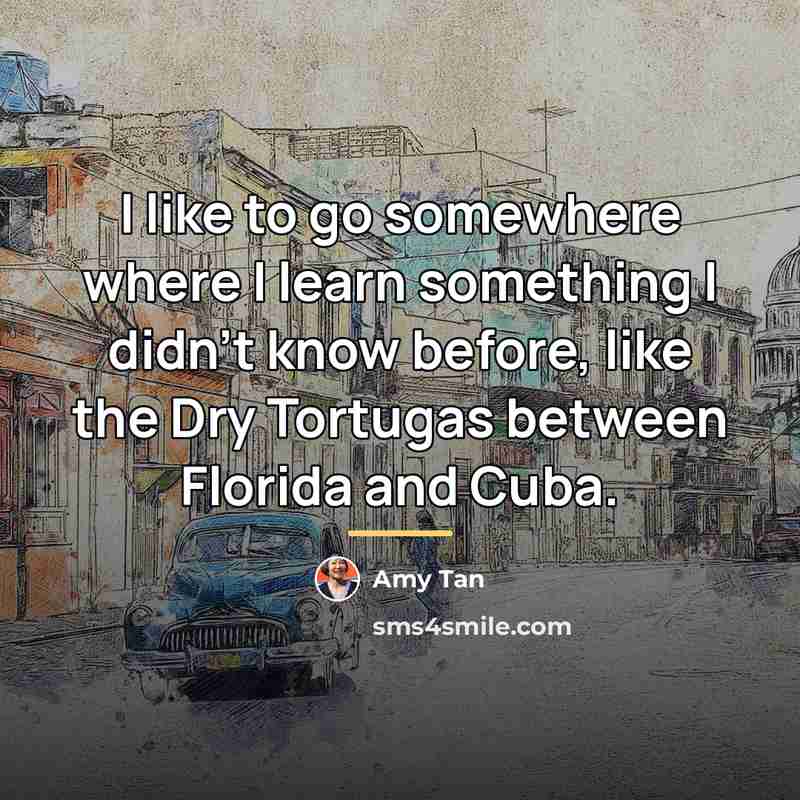 “I like to go somewhere where I learn something I…” quote by Amy Tan