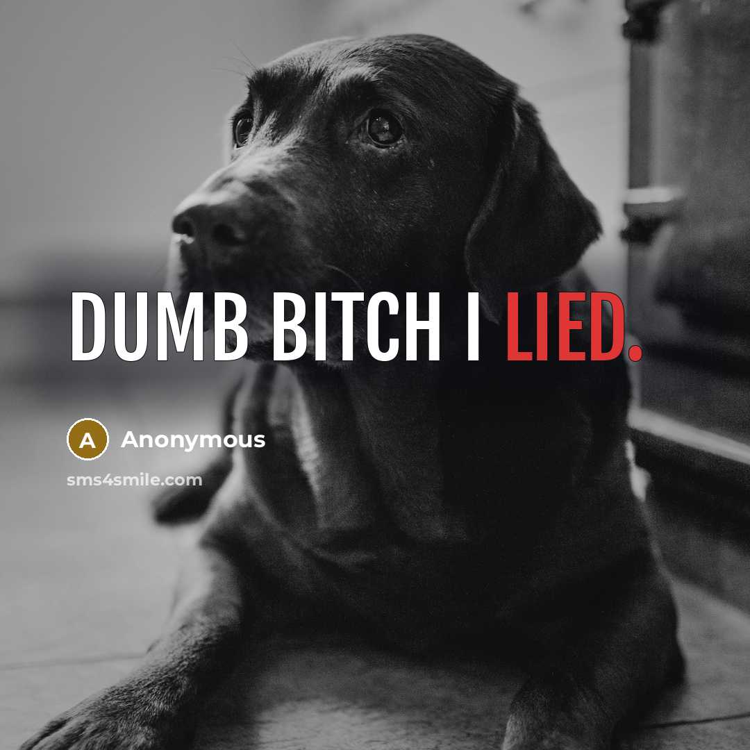 “Dumb bitch I lied.” quote by Anonymous