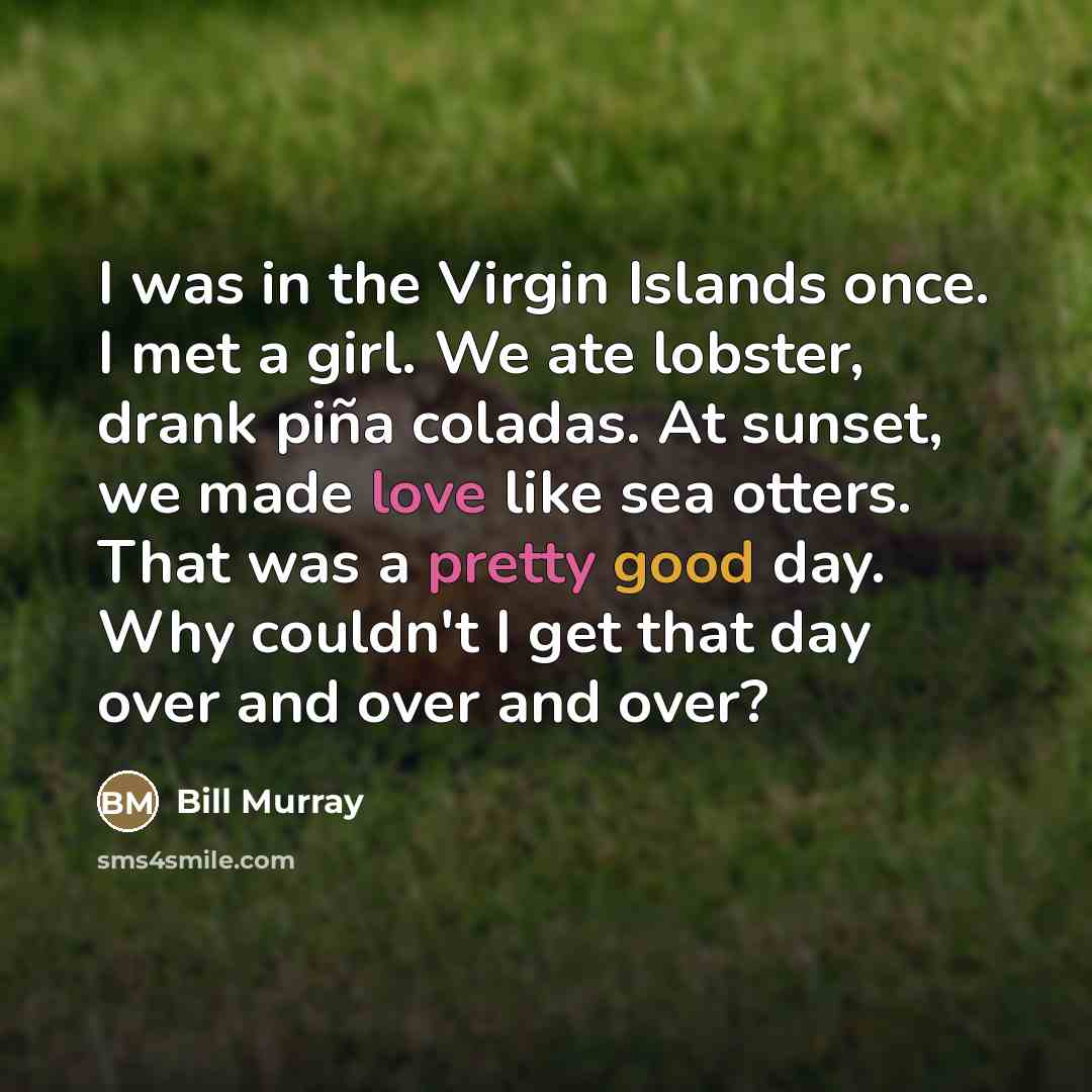 “I was in the Virgin Islands once. I met a…” quote by Bill Murray