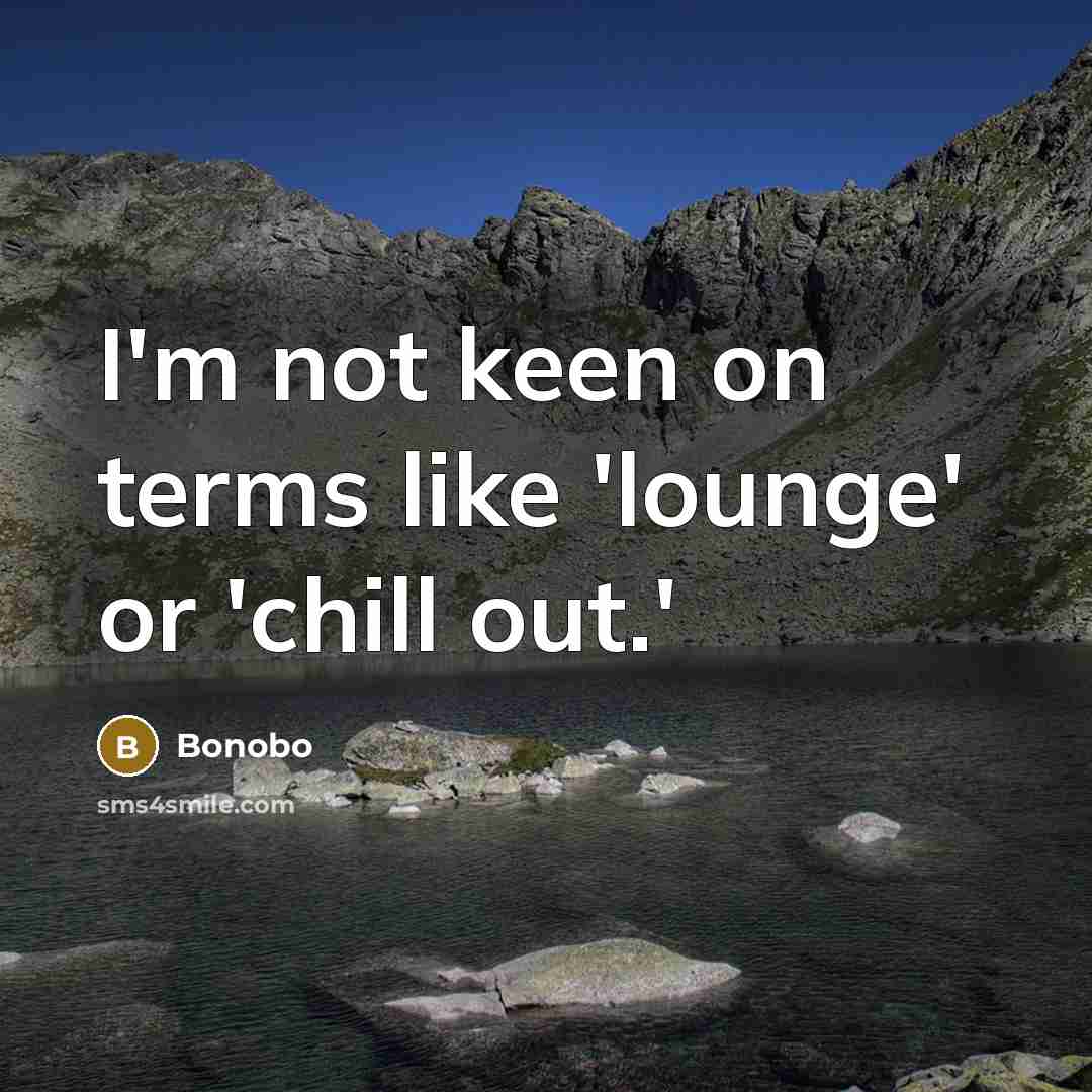 “I'm not keen on terms like 'lounge' or 'chill out.'…” quote by Bonobo