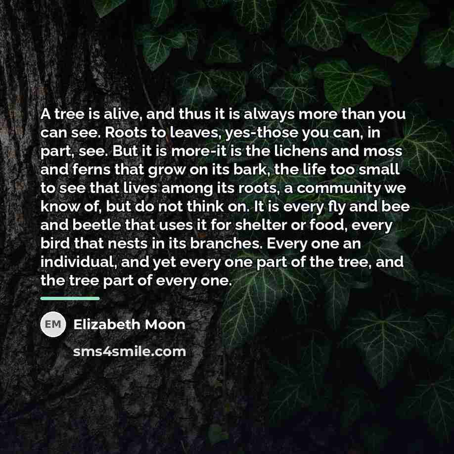 “A tree is alive, and thus it is always more…” quote by Elizabeth Moon