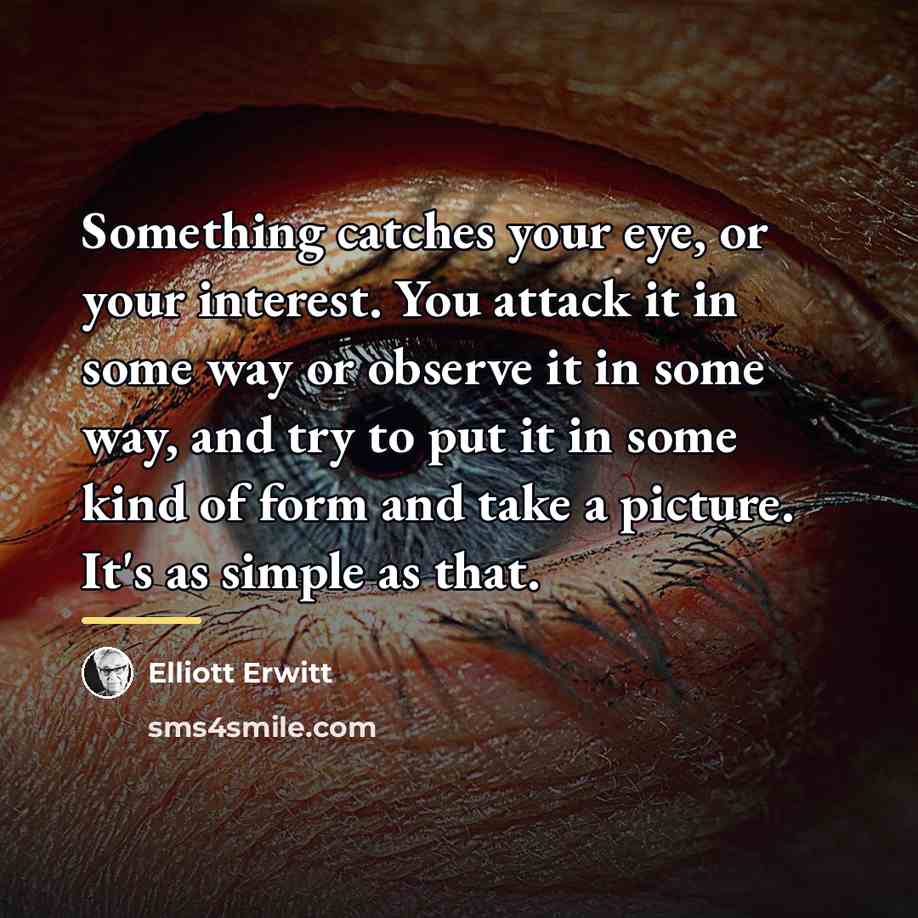 “Something catches your eye, or your interest. You attack it…” quote by Elliott Erwitt