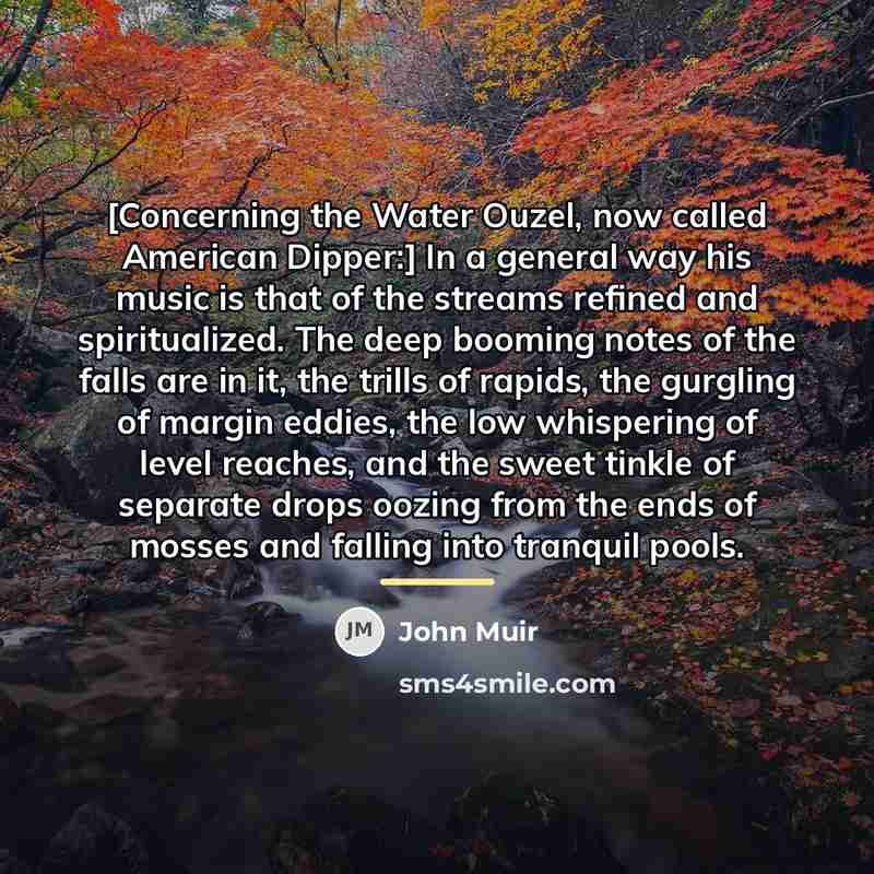 “[Concerning the Water Ouzel, now called American Dipper:] In a…” quote by John Muir