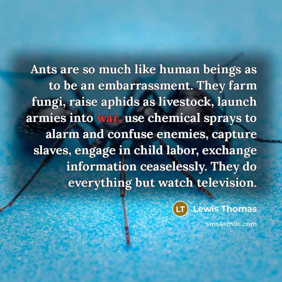 “Ants are so much like human beings as to be…” quote by Lewis Thomas