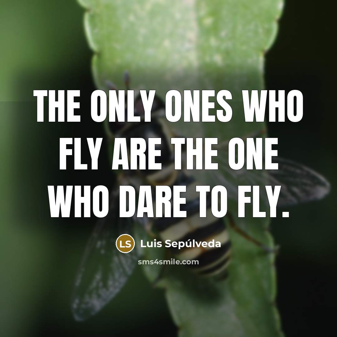 “The only ones who fly are the one who dare…” quote by Luis Sepúlveda