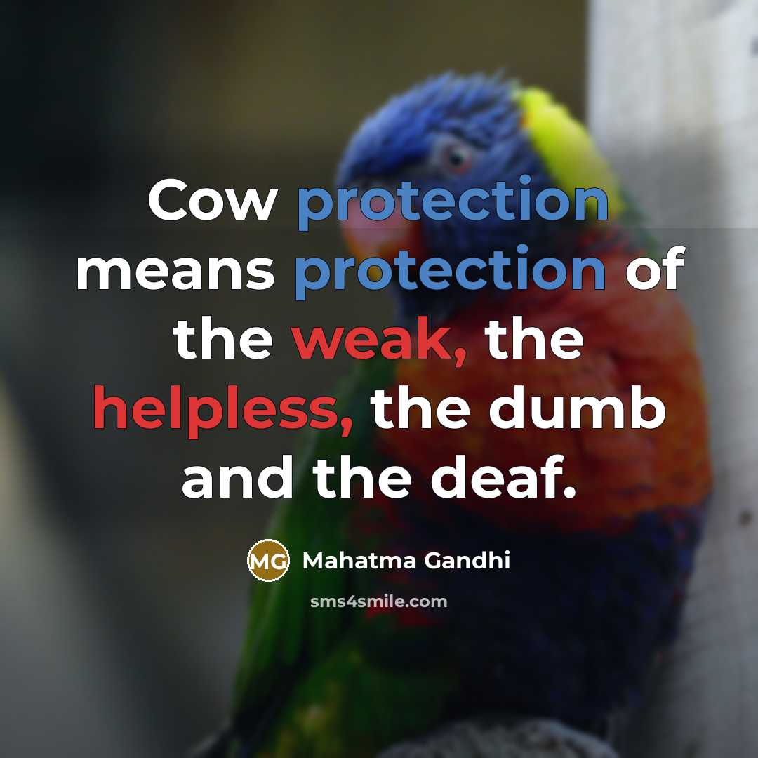 “Cow protection means protection of the weak, the helpless, the dumb and the deaf.” quote by Mahatma Gandhi