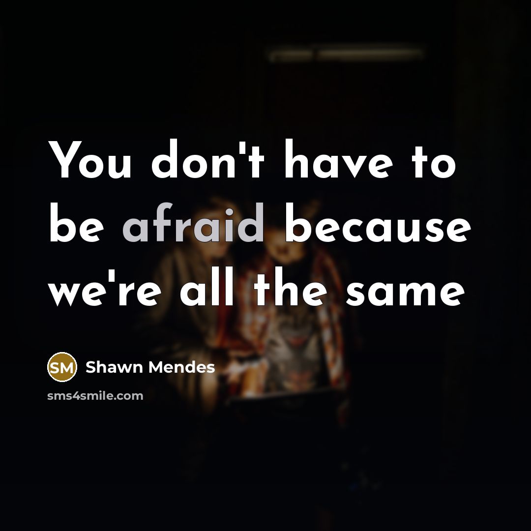 “You don't have to be afraid because we're all the…” quote by Shawn Mendes