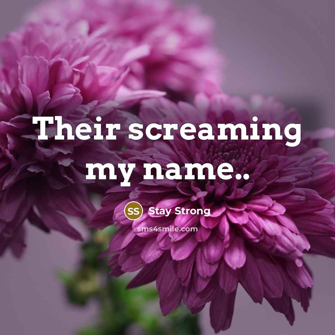 “Their screaming my name..” quote by Stay Strong