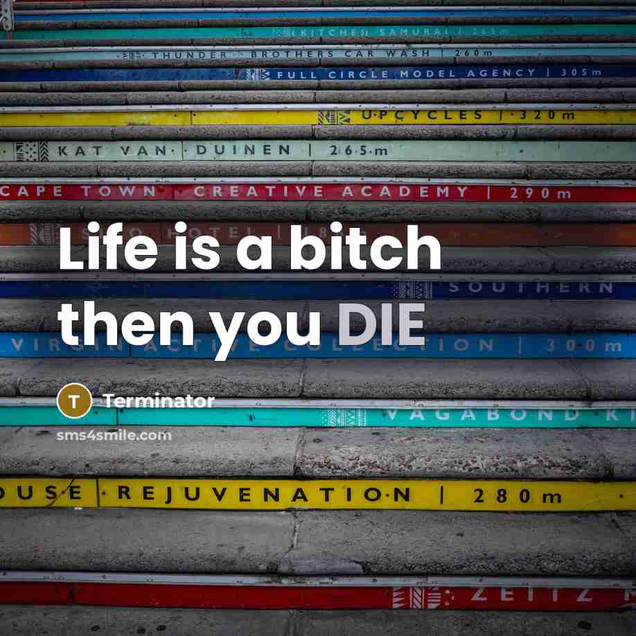 “Life is a bitch then you DIE…” quote by Terminator