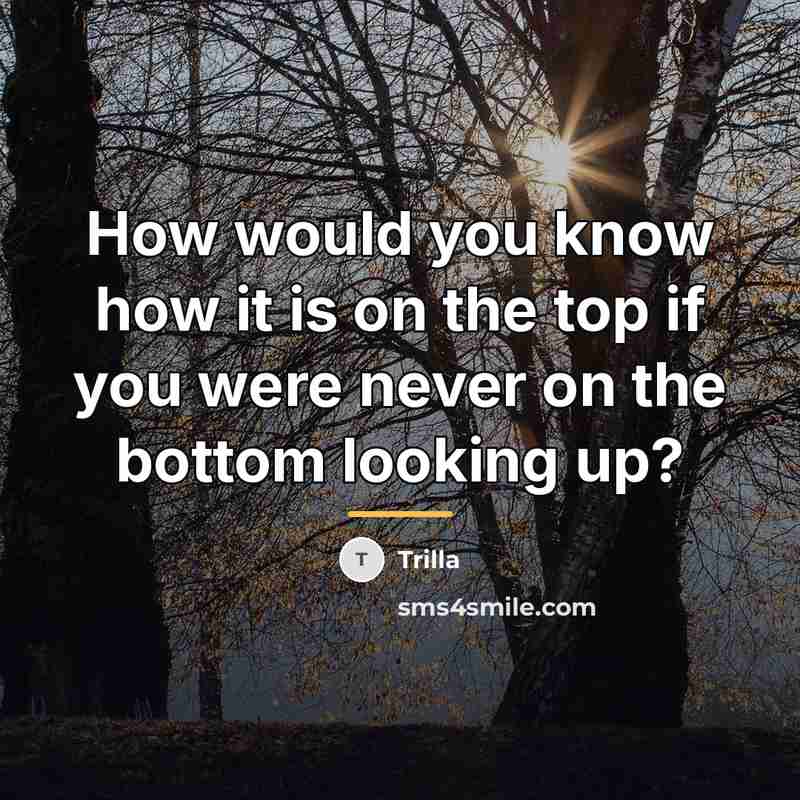 “How would you know how it is on the top…” quote by Trilla