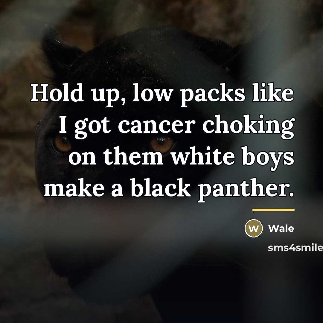 “Hold up, low packs like I got cancer choking on…” quote by Wale