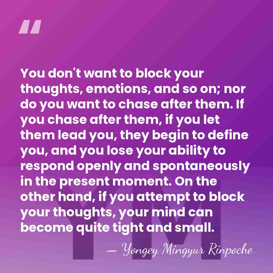 You don't want to block your thoughts, emotions, and so on; nor&hellip; - Yongey Mingyur Rinpoche