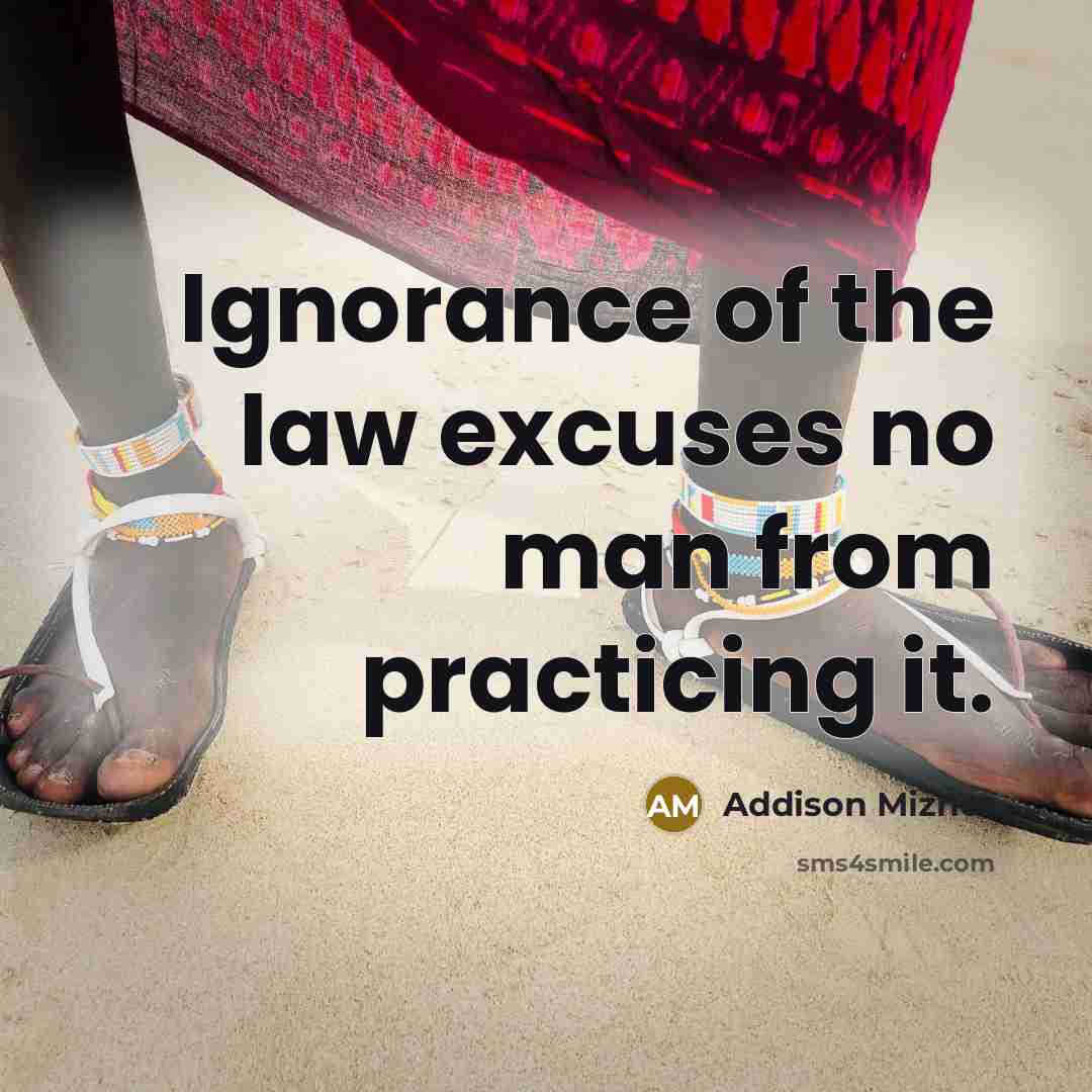 “Ignorance of the law excuses no man from practicing it.…” quote by Addison Mizner