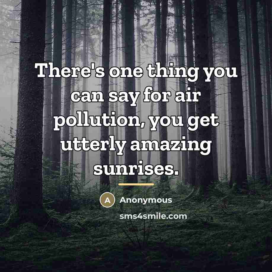 “There's one thing you can say for air pollution, you…” quote by Anonymous