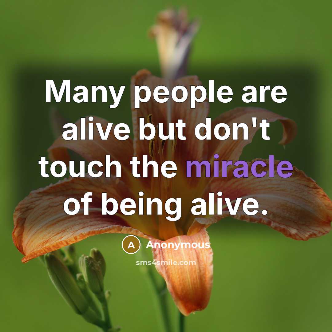 “Many people are alive but don't touch the miracle of…” quote by Anonymous