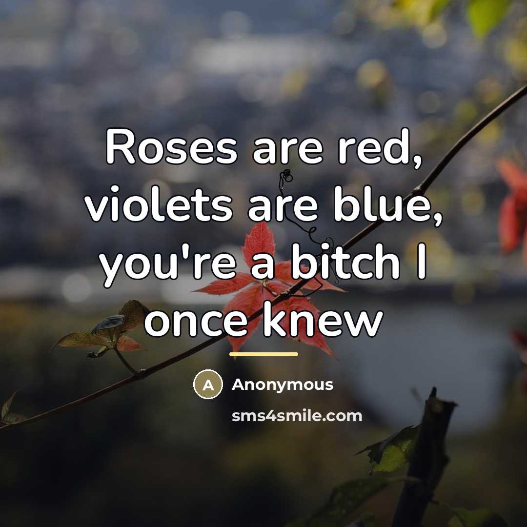 “Roses are red, violets are blue, you're a bitch I…” quote by Anonymous