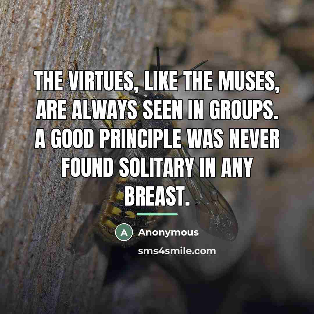 “The virtues, like the Muses, are always seen in groups.…” quote by Anonymous