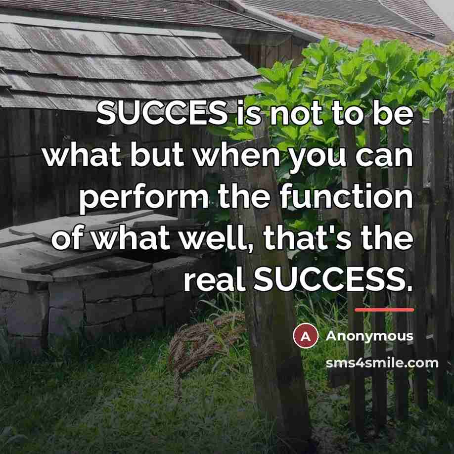“SUCCES is not to be what but when you can…” quote by Anonymous