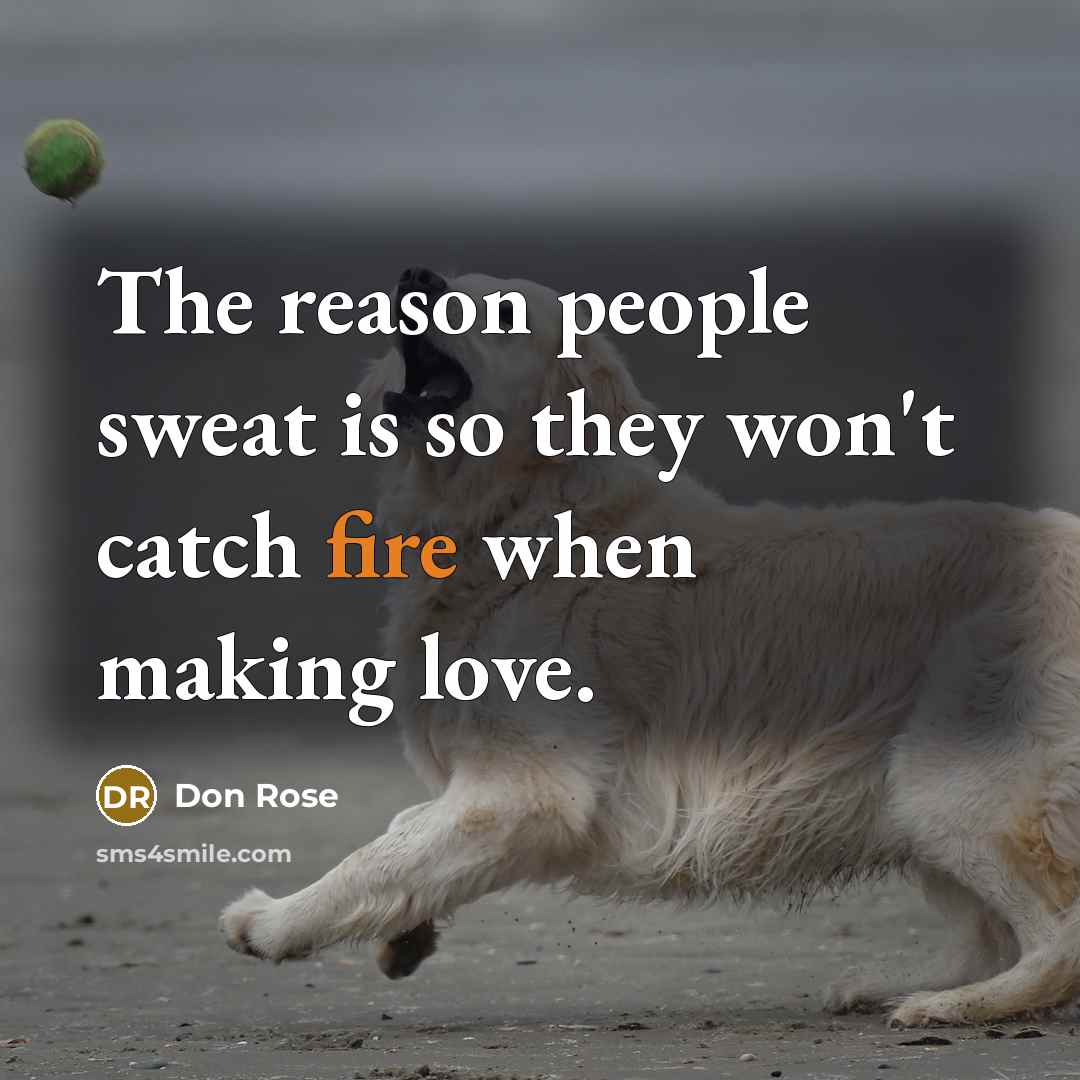 “The reason people sweat is so they won't catch fire…” quote by Don Rose