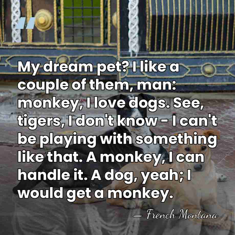 My dream pet? I like a couple of them, man: monkey, I&hellip; - French Montana