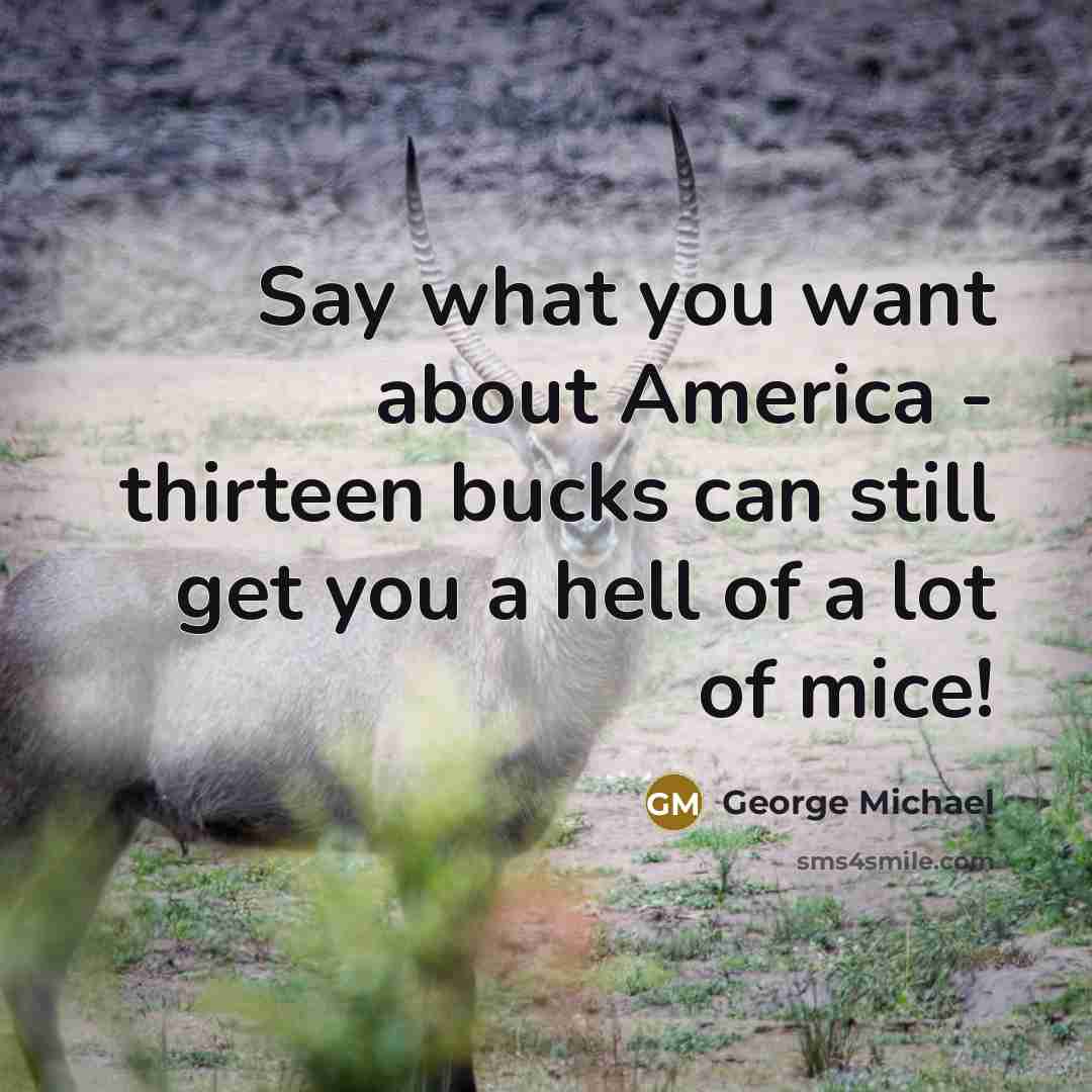“Say what you want about America - thirteen bucks can…” quote by George Michael