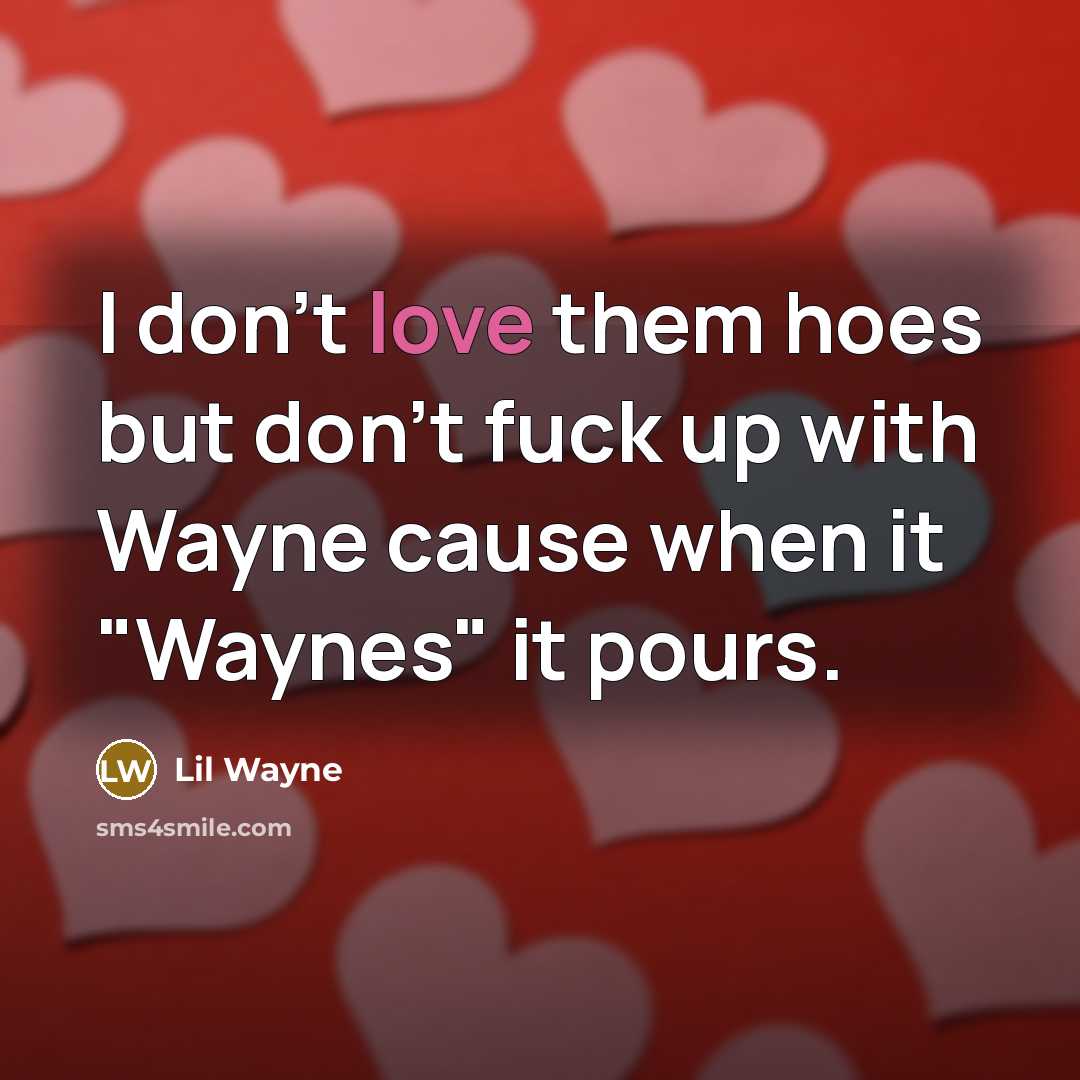 “I don't love them hoes but don't fuck up with…” quote by Lil Wayne