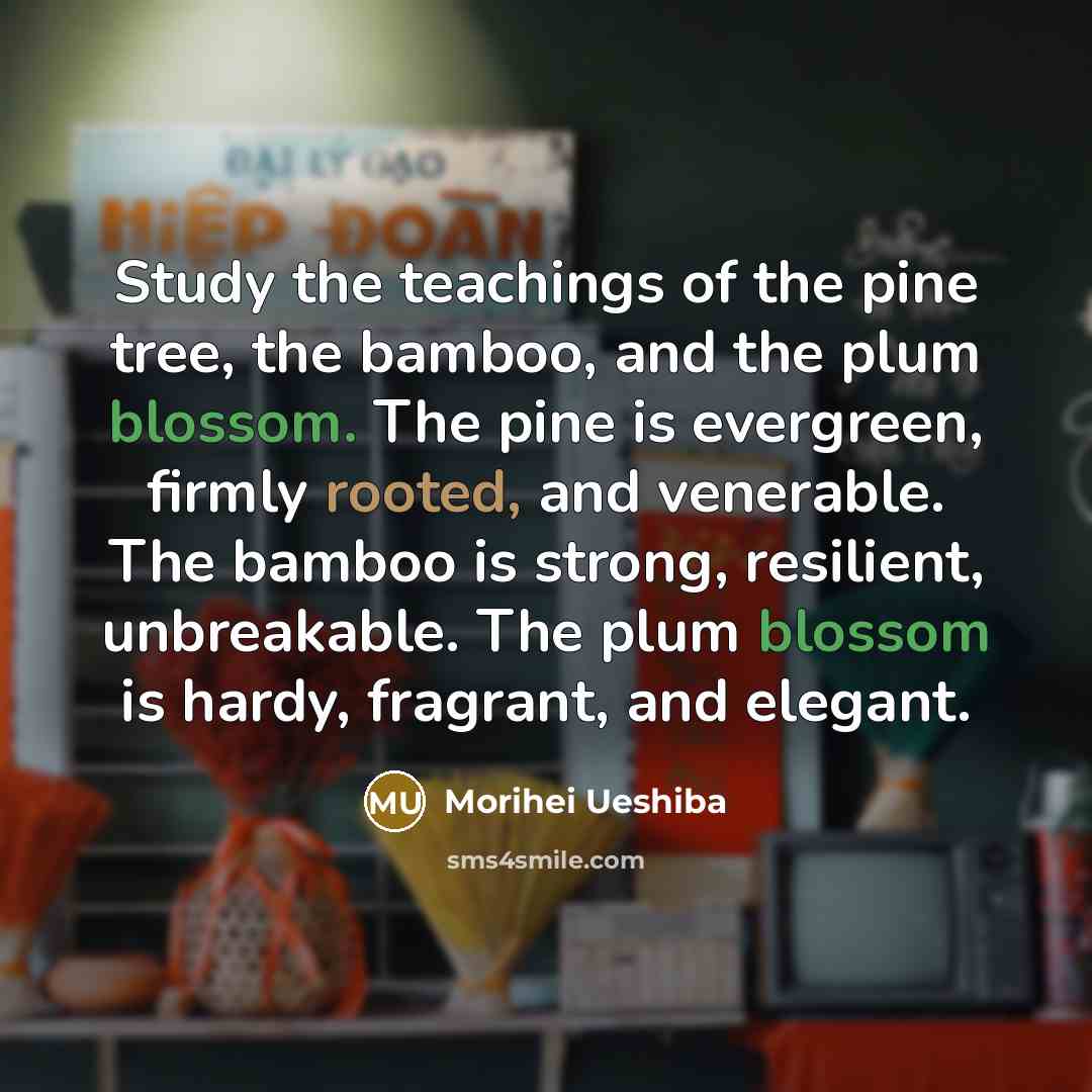 “Study the teachings of the pine tree, the bamboo, and…” quote by Morihei Ueshiba