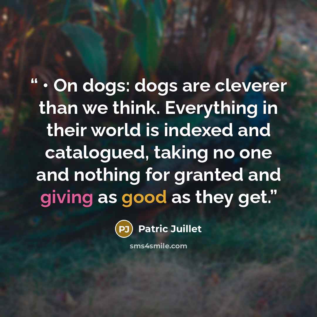 “• On dogs: dogs are cleverer than we think. Everything in their world is indexed and catalogued, taking no one and nothing for granted and giving as good as they get.” quote by Patric Juillet