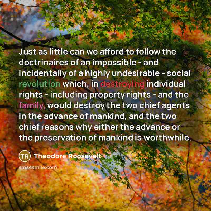 “Just as little can we afford to follow the doctrinaires…” quote by Theodore Roosevelt