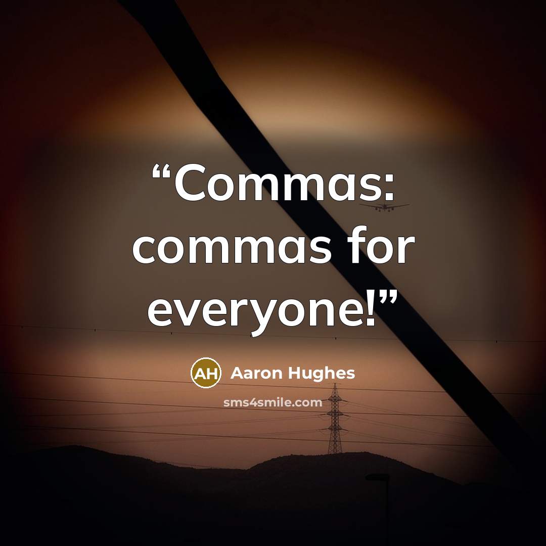 “Commas: commas for everyone!” quote by Aaron Hughes