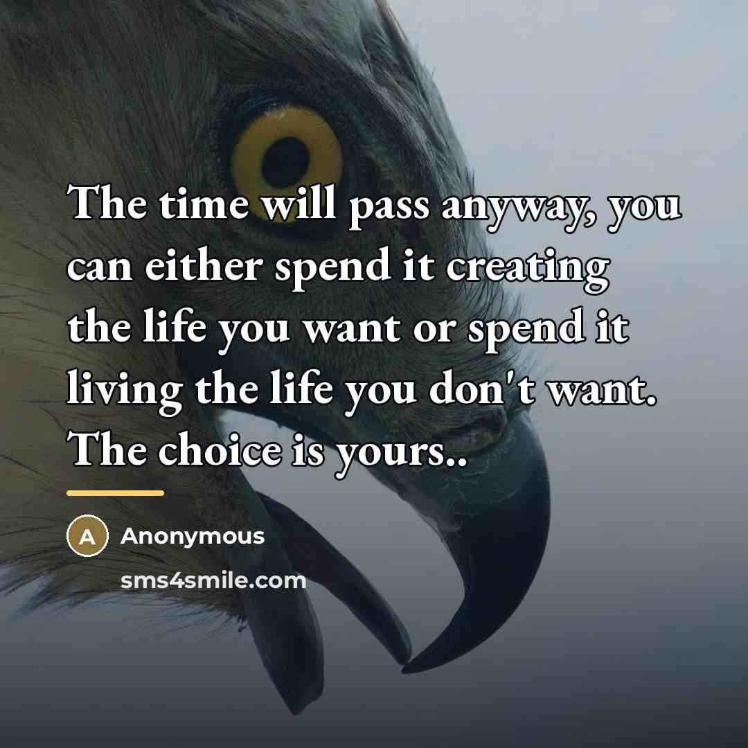 “The time will pass anyway, you can either spend it…” quote by Anonymous