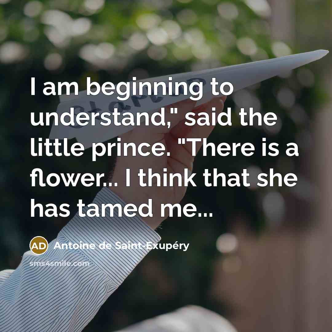 “I am beginning to understand," said the little prince. "There…” quote by Antoine de Saint-Exupery