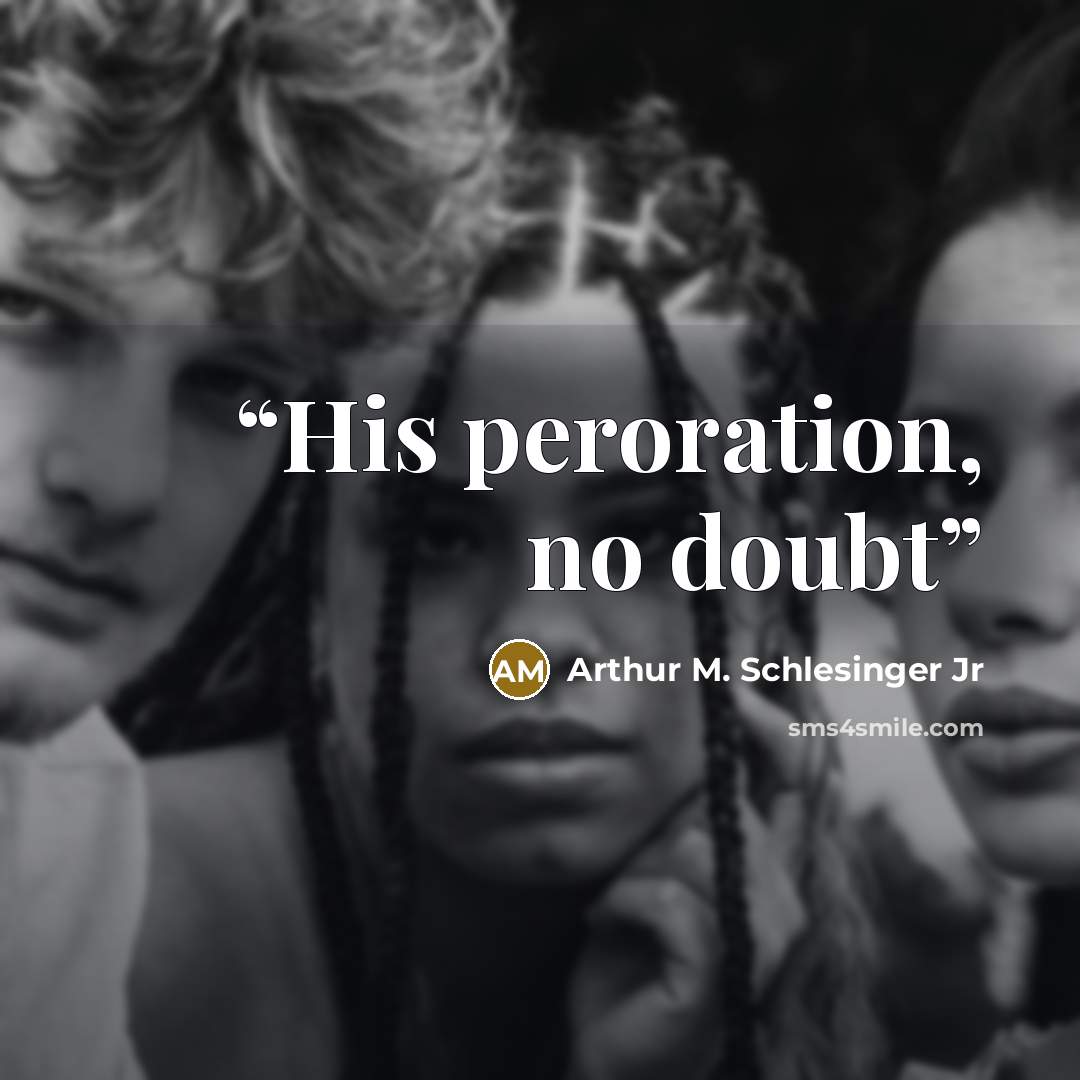 “His peroration, no doubt” quote by Arthur M. Schlesinger Jr
