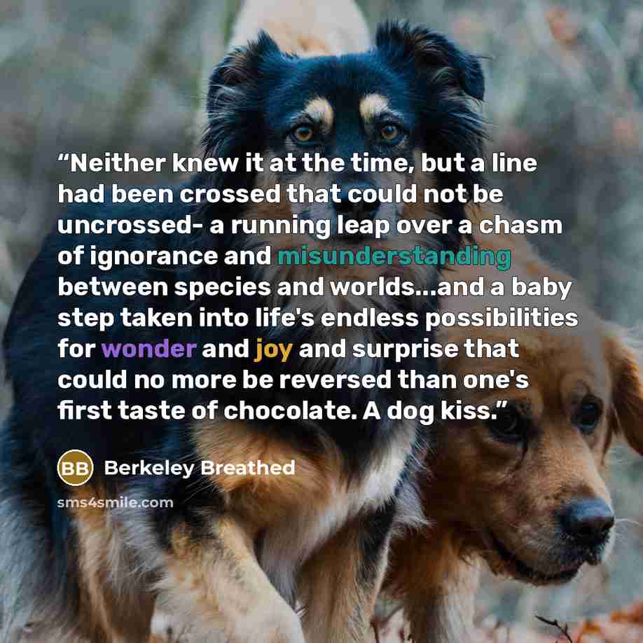 “Neither knew it at the time, but a line had been crossed that could not be uncrossed- a running leap over a chasm of ignorance and misunderstanding between species and worlds...and a baby step taken into life's endless possibilities for wonder and joy and surprise that could no more be reversed…” quote by Berkeley Breathed