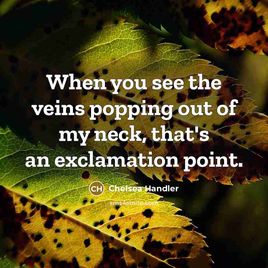 “When you see the veins popping out of my neck,…” quote by Chelsea Handler