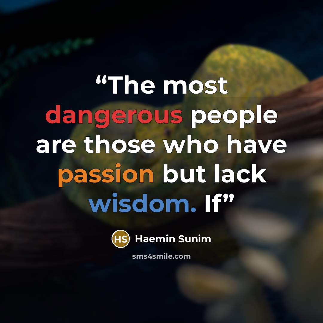 “The most dangerous people are those who have passion but lack wisdom. If” quote by Haemin Sunim