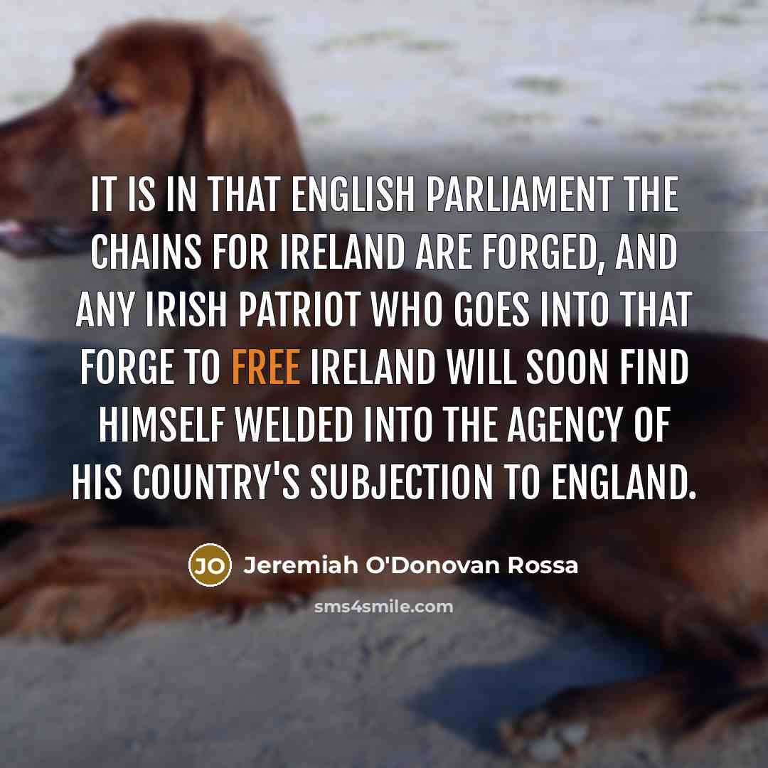 “It is in that English Parliament the chains for Ireland…” quote by Jeremiah O'Donovan Rossa