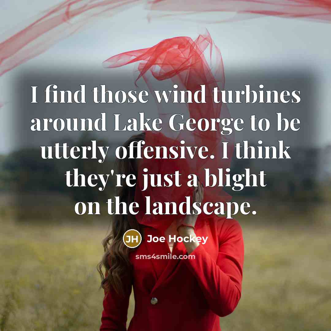 “I find those wind turbines around Lake George to be…” quote by Joe Hockey