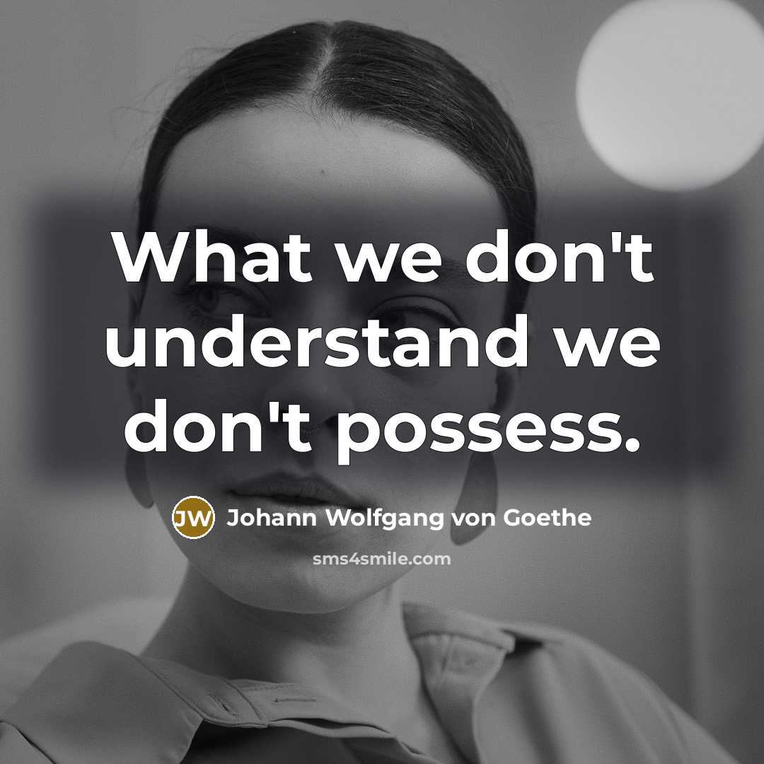 “What we don't understand we don't possess.…” quote by Johann Wolfgang von Goethe