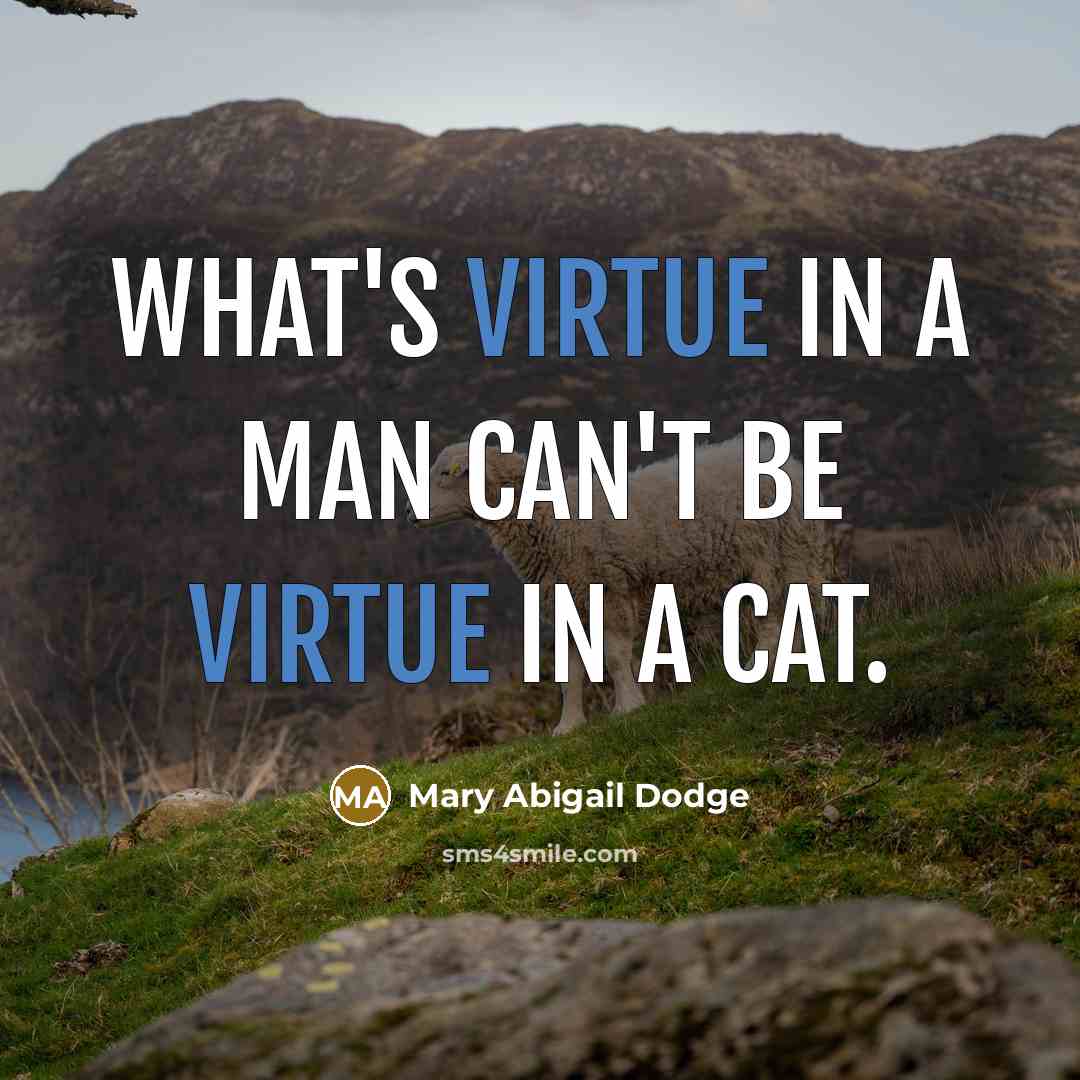 “What's virtue in a man can't be virtue in a…” quote by Mary Abigail Dodge