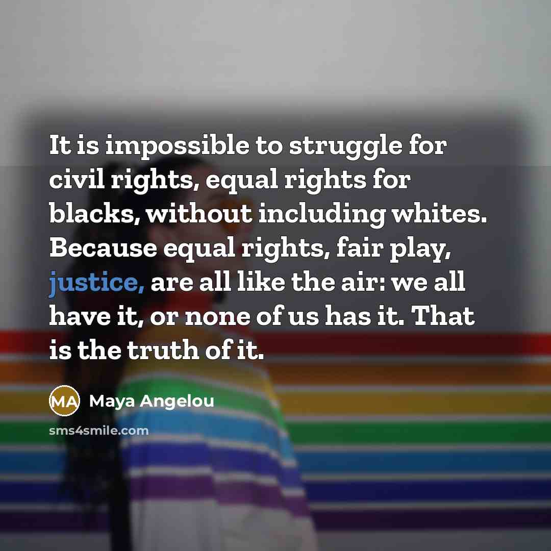 “It is impossible to struggle for civil rights, equal rights…” quote by Maya Angelou