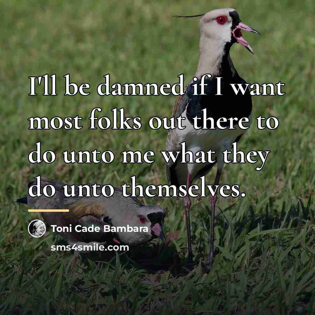 “I'll be damned if I want most folks out there…” quote by Toni Cade Bambara