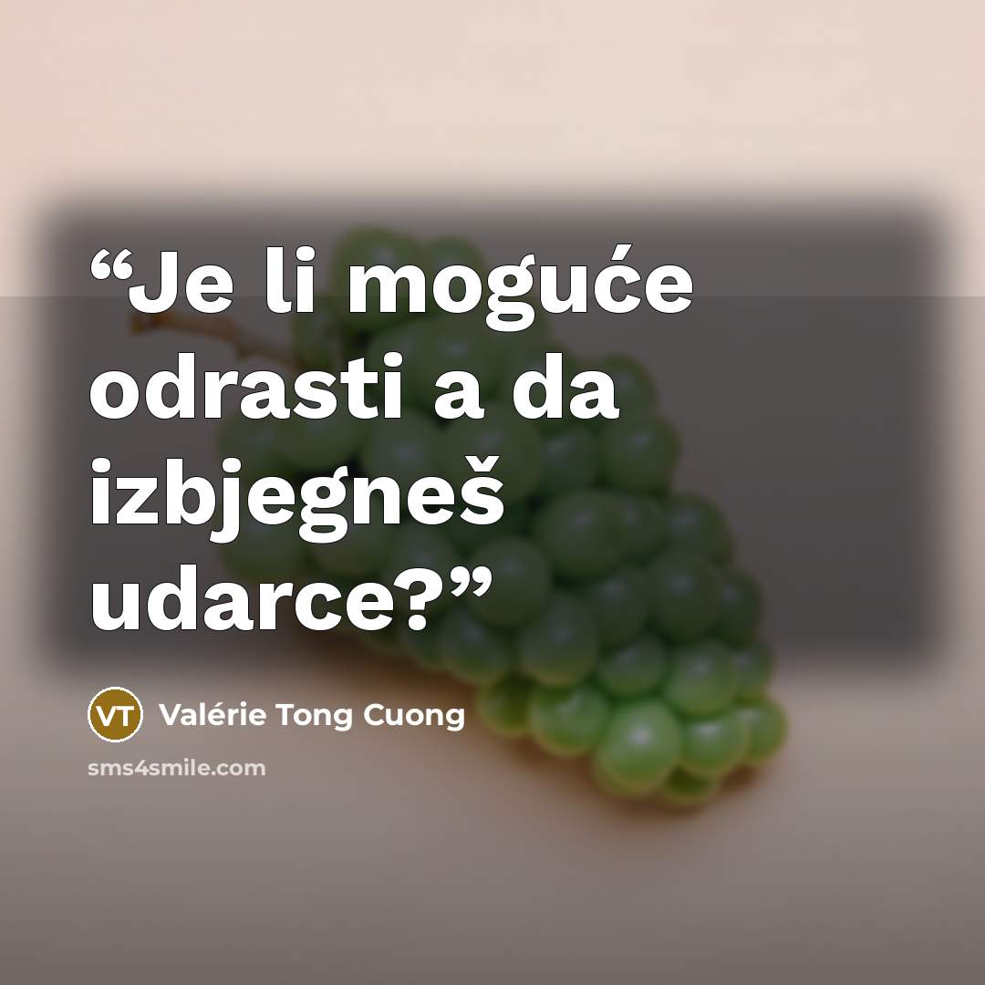 “Je li moguće odrasti a da izbjegneš udarce?” quote by Valérie Tong Cuong